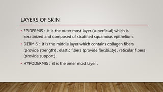LAYERS OF SKIN
• EPIDERMIS : it is the outer most layer (superficial) which is
keratinized and composed of stratified squamous epithelium.
• DERMIS : it is the middle layer which contains collagen fibers
(provide strength) , elastic fibers (provide flexibility) , reticular fibers
(provide support) .
• HYPODERMIS : it is the inner most layer .
 