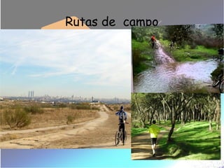 Rutas de campo
 