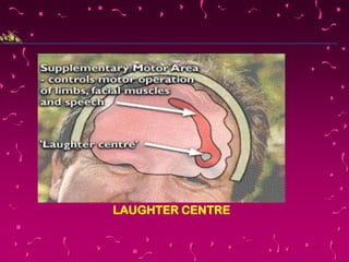 Laugh More Live Long ! | PPTX