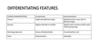 DIFFERENTIATING FEATURES
CLINICAL MANIFESTATION Eumycetoma Actinomycetoma
Tumour Single well defined margin Multiple tumour mass with ill-
defined margin
Sinuses Appear late few in number Appear early numerous with raised
inflamed openings
Discharge /granules Serous /blackish/white Purulent/white /red
Bone Osteosclerotic Osteolytic
 
