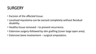 SURGERY
• Excision of the affected tissue.
• Localised mycetoma-can be excised completely without Residual
disability.
• Healthy tissue removed – to prevent recurrence.
• Extensive surgery-followed by skin grafting (cover large open area).
• Extensive bone involvement – surgical amputation.
 