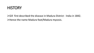 HISTORY
Gill first described the disease in Madura District - India in 1842.
Hence the name Madura foot/Madura mycosis.
 