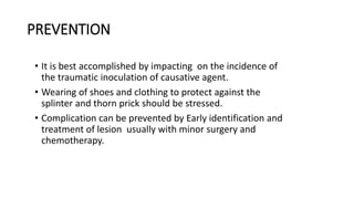 PREVENTION
• It is best accomplished by impacting on the incidence of
the traumatic inoculation of causative agent.
• Wearing of shoes and clothing to protect against the
splinter and thorn prick should be stressed.
• Complication can be prevented by Early identification and
treatment of lesion usually with minor surgery and
chemotherapy.
 