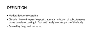 DEFINITION
• Madura foot or mycetoma
• Chronic Slowly Progressive post traumatic infection of subcutaneous
tissue usually occurring in foot and rarely in other parts of the body
• Caused by fungi and bacteria
 