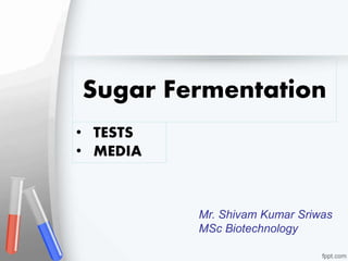 Sugar Fermentation
Mr. Shivam Kumar Sriwas
MSc Biotechnology
• TESTS
• MEDIA
 