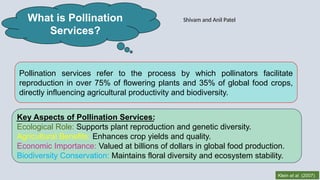 status and Prospects of pollination services in India and abroad | PPTX
