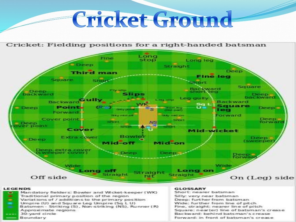 cricket ppt