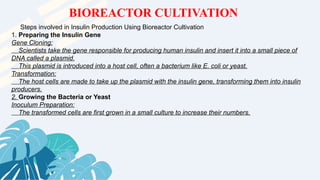 Steps involved in Insulin Production Using Bioreactor Cultivation
1. Preparing the Insulin Gene
Gene Cloning:
Scientists take the gene responsible for producing human insulin and insert it into a small piece of
DNA called a plasmid.
This plasmid is introduced into a host cell, often a bacterium like E. coli or yeast.
Transformation:
The host cells are made to take up the plasmid with the insulin gene, transforming them into insulin
producers.
2. Growing the Bacteria or Yeast
Inoculum Preparation:
The transformed cells are first grown in a small culture to increase their numbers.
BIOREACTOR CULTIVATION
 