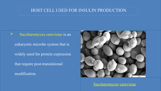  Saccharomyces cerevisiae is an
eukaryotic microbe system that is
widely used for protein expression
that require post-translational
modification.
HOST CELL USED FOR INSULIN PRODUCTION
Saccharomyces cerevisiae
 