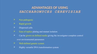 • •
: I
ADVANTAGES OF USING
SACCHAROMYCES CEREVISIAE
 Non pathogenic
 Rapid growth
 Dispersed cells
 Ease of replica plating and mutant isolation
 Can be grown on defined media giving the investigator complete control
over environmental parameters
 Well-defined genetic system
 Highly versatile DNA transformation system
 