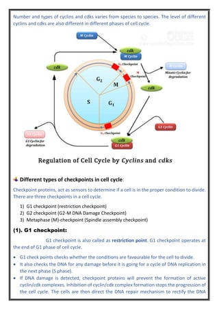 cell division & physiology of cell division | PDF