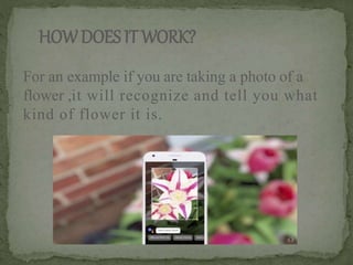 HOWDOESITWORK?
For an example if you are taking a photo of a
flower ,it will recognize and tell you what
kind of flower it is.
 