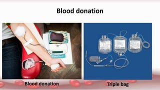 Blood donation
Blood donation Triple bag
 