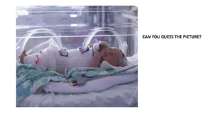 CAN YOU GUESS THE PICTURE?
 