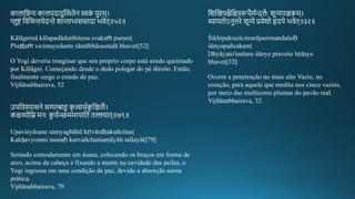 कालातिना कालपदादुन्तित्थिेन स्वकं पुिम।
प्लुटं तवतचमयेदमे शामाभासिदा भवेि॥५२॥
Kālāgninā kālapadādutthitena svakaṁ puram|
Pluṣṭaṁ vicintayedante śāntābhāsastadā bhavet||52||
O Yogi deveria imaginar que seu próprio corpo está sendo queimado
por Kãlãgni. Começando desde o dedo polegar do pé direito. Então,
finalmente surge o estado de paz.
Vijñānabhairava, 52
उपतवश्यासने सम्यग्बाहू कच त्वारगकु तििौ।
कक्षव्योति मनः कु वगञ्छममायाति िल्लयाि॥७९॥
Upaviśyāsane samyagbāhū kṛtvārdhakuñcitau|
Kakṣavyomni manaḥ kurvañchamamāyāti tallayāt||79||
Sentado comodamente em ásana, colocando os braços em forma de
arco, acima da cabeça e fixando a mente na cavidade das axilas, o
Yogi ingressa em uma condição de paz, devido a absorção nessa
prática.
Vijñānabhairava, 79
तशन्तििपक्षैतित्ररूपैमगन्दलैः शून्यपिकम।
ध्यायिोऽनुत्तिे शून्ये प्रवेशो हृदये भवेि॥३२॥
Śikhipaksaiścitrarūpairmandalaiḥ
śūnyapañcakam|
Dhyāyato'nuttare śūnye praveśo hṛdaye
bhavet||32||
Ocorre a penetração no mais alto Vazio, no
coração, para aquele que medita nos cinco vazios,
por meio das multicores plumas do pavão real.
Vijñānabhairava, 32
 