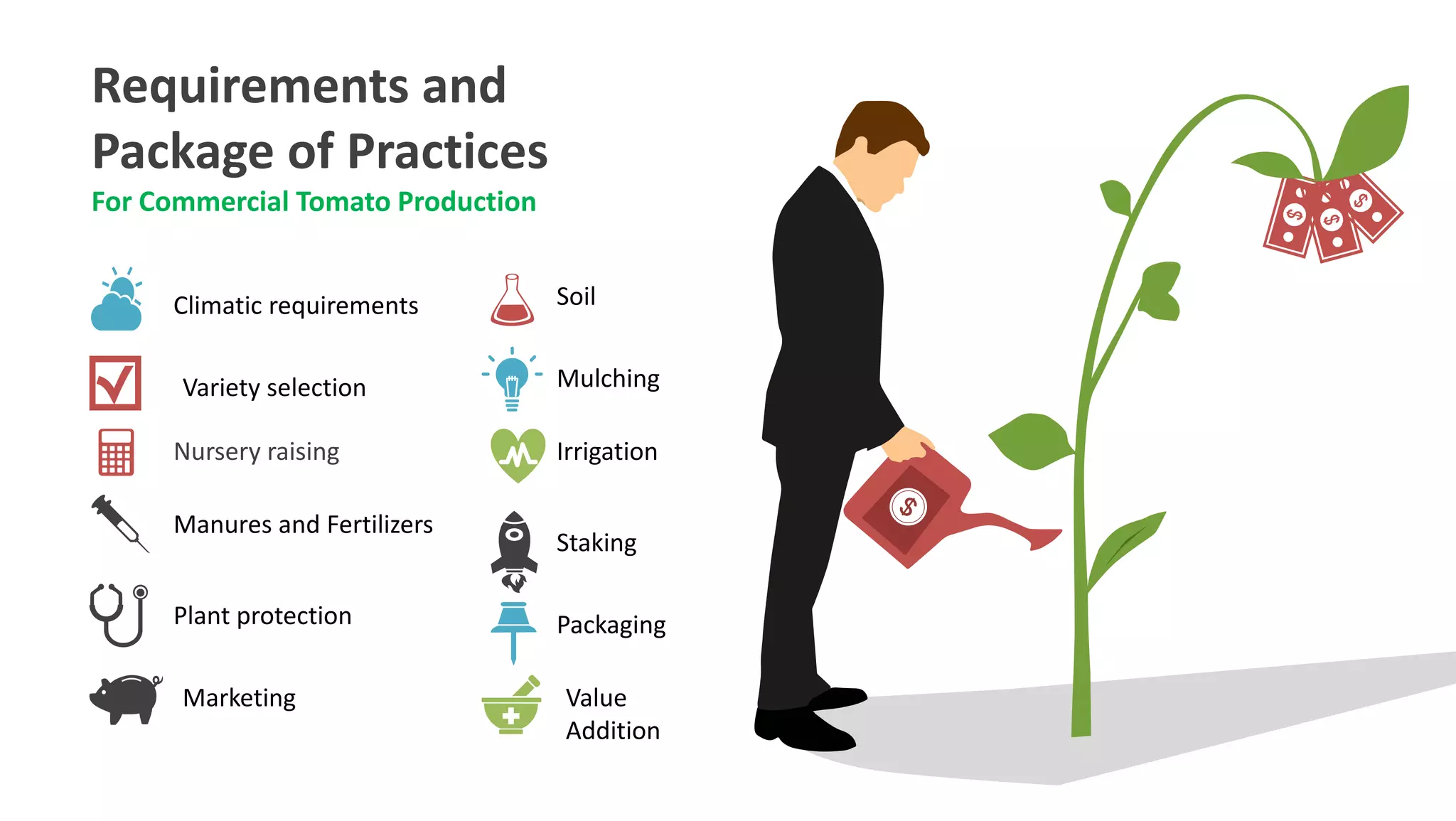 Nursery raising
Requirements and
Package of Practices
For Commercial Tomato Production
Climatic requirements Soil
Variety selection Mulching
Irrigation
Manures and Fertilizers
Staking
Plant protection Packaging
Marketing Value
Addition
 