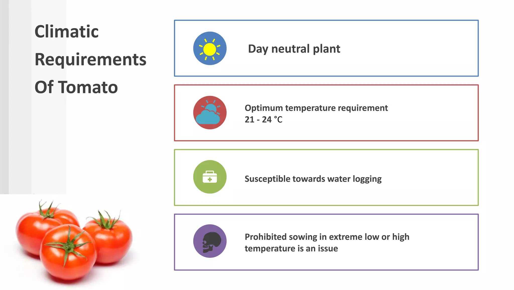 Climatic
Requirements
Of Tomato
Day neutral plant
Optimum temperature requirement
21 - 24 °C
Susceptible towards water logging
Prohibited sowing in extreme low or high
temperature is an issue
 
