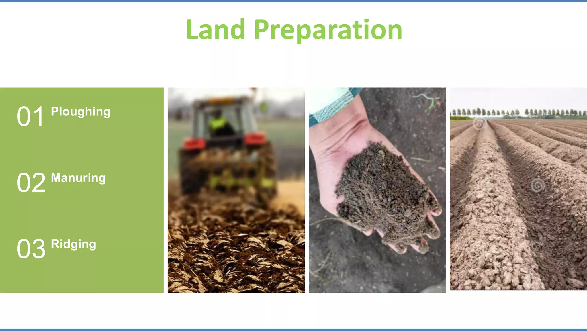 Land Preparation
Ploughing
01
Manuring
02
Ridging
03
 