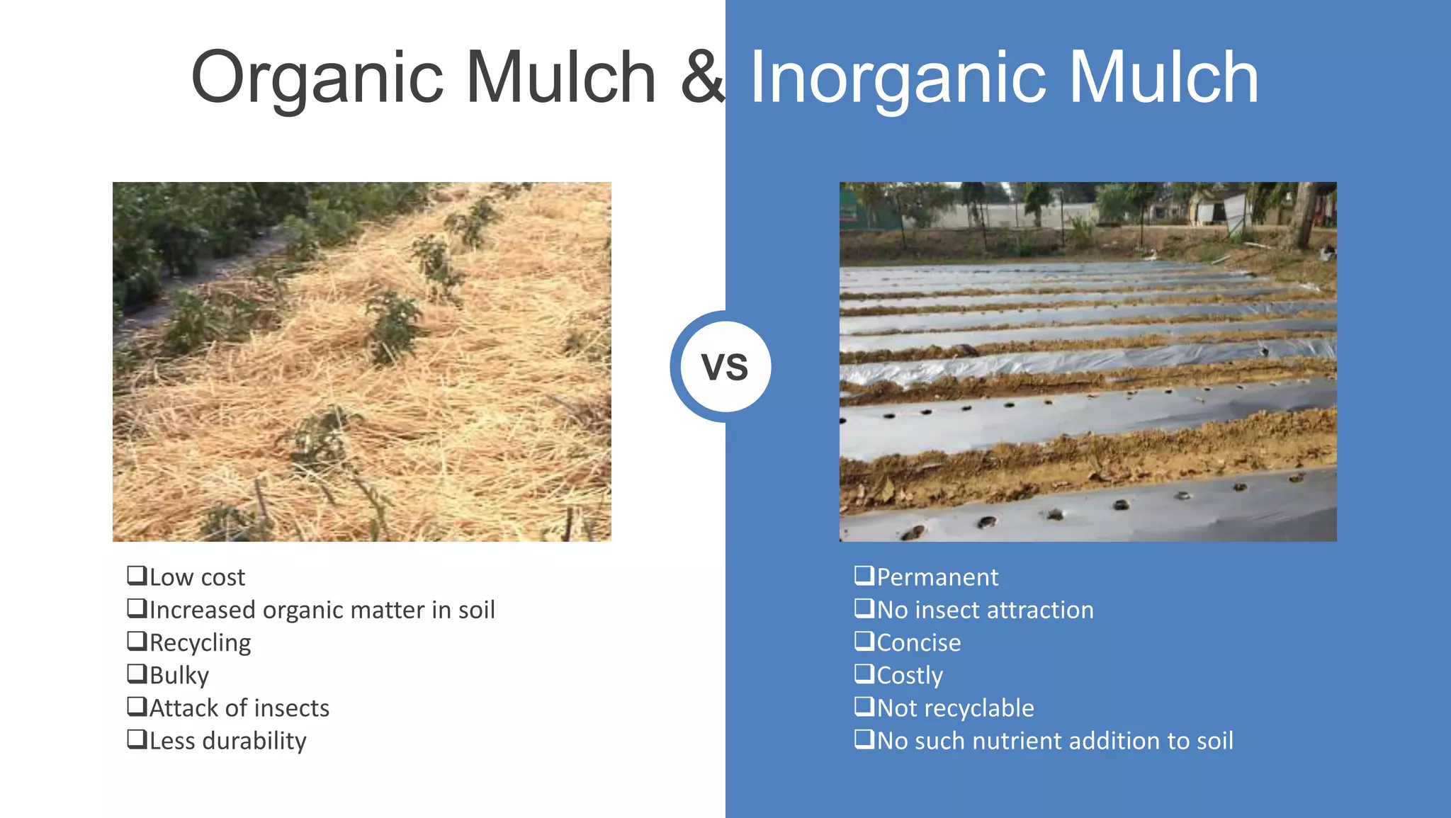 Organic Mulch & Inorganic Mulch
VS
Low cost
Increased organic matter in soil
Recycling
Bulky
Attack of insects
Less durability
Permanent
No insect attraction
Concise
Costly
Not recyclable
No such nutrient addition to soil
 
