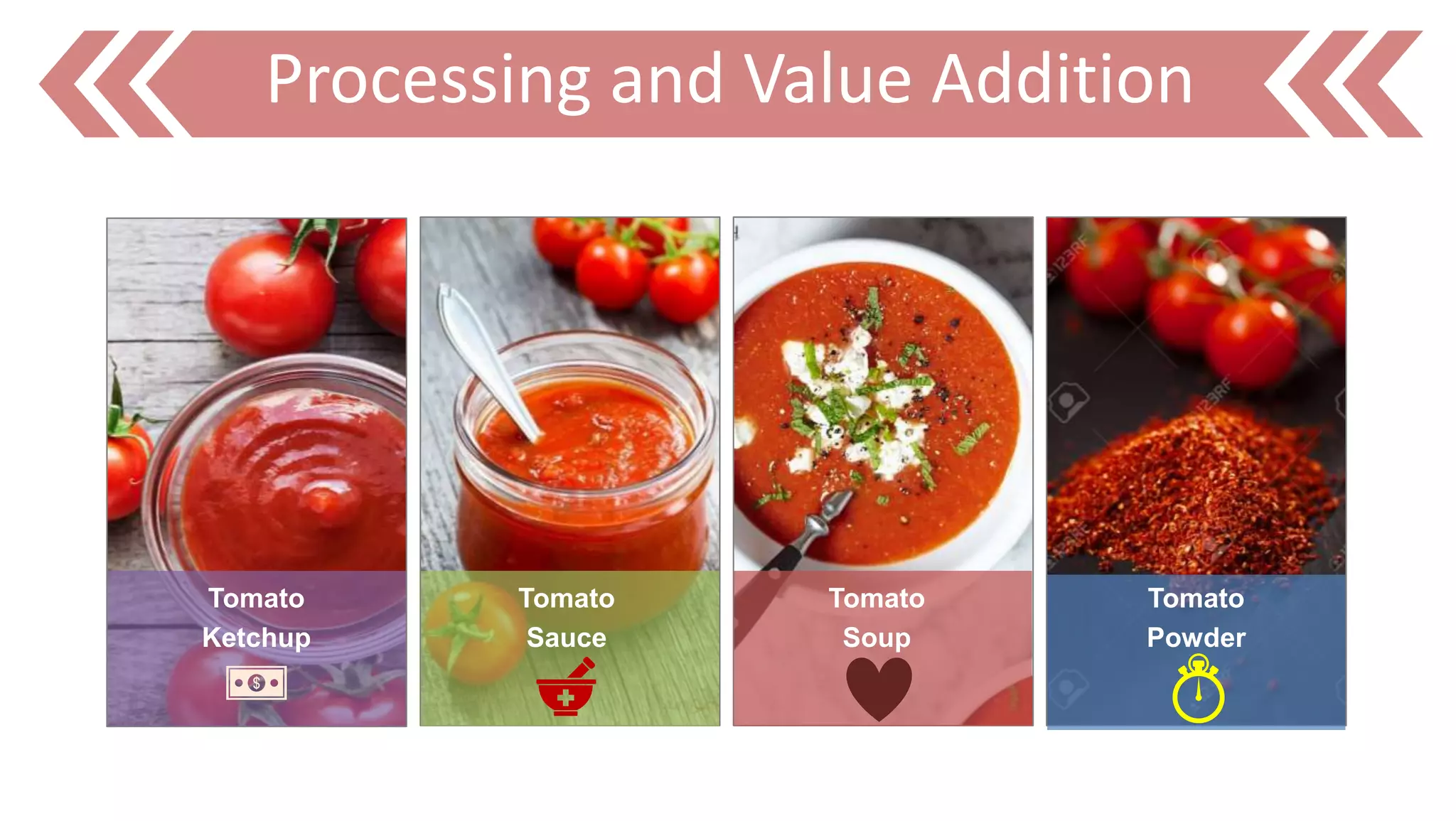 Processing and Value Addition
Tomato
Ketchup
Tomato
Sauce
Tomato
Soup
Tomato
Powder
 