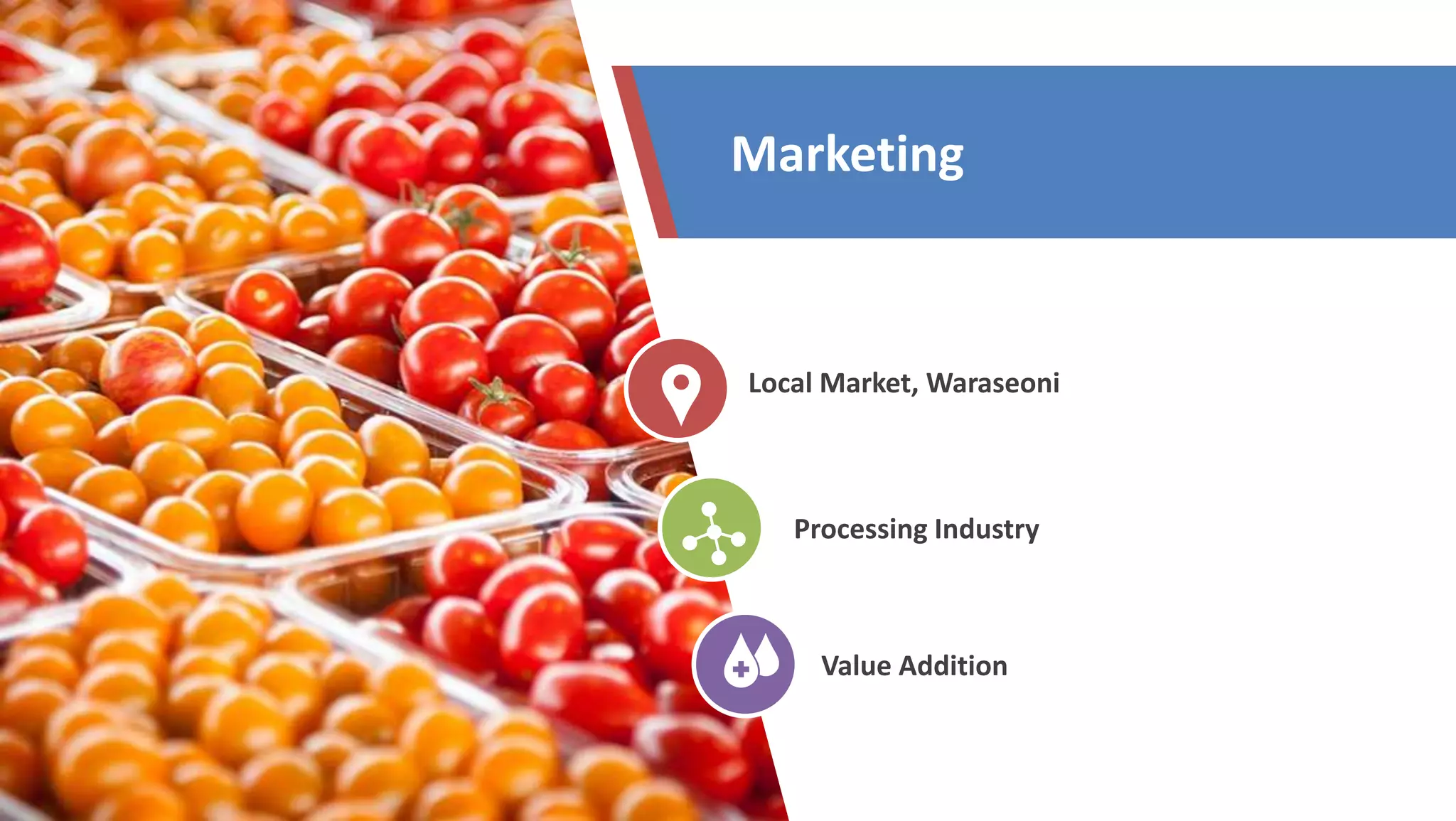 Local Market, Waraseoni
Processing Industry
Value Addition
Marketing
 