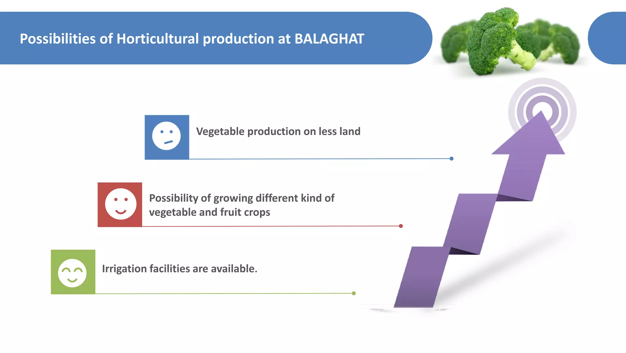 Possibilities of Horticultural production at BALAGHAT
Vegetable production on less land
Possibility of growing different kind of
vegetable and fruit crops
Irrigation facilities are available.
 