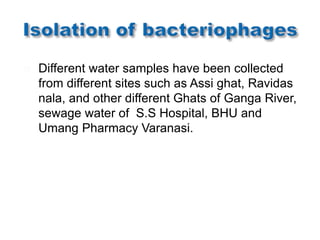 Isolation and characterization of Bacteriophages against Staphylococcus ...