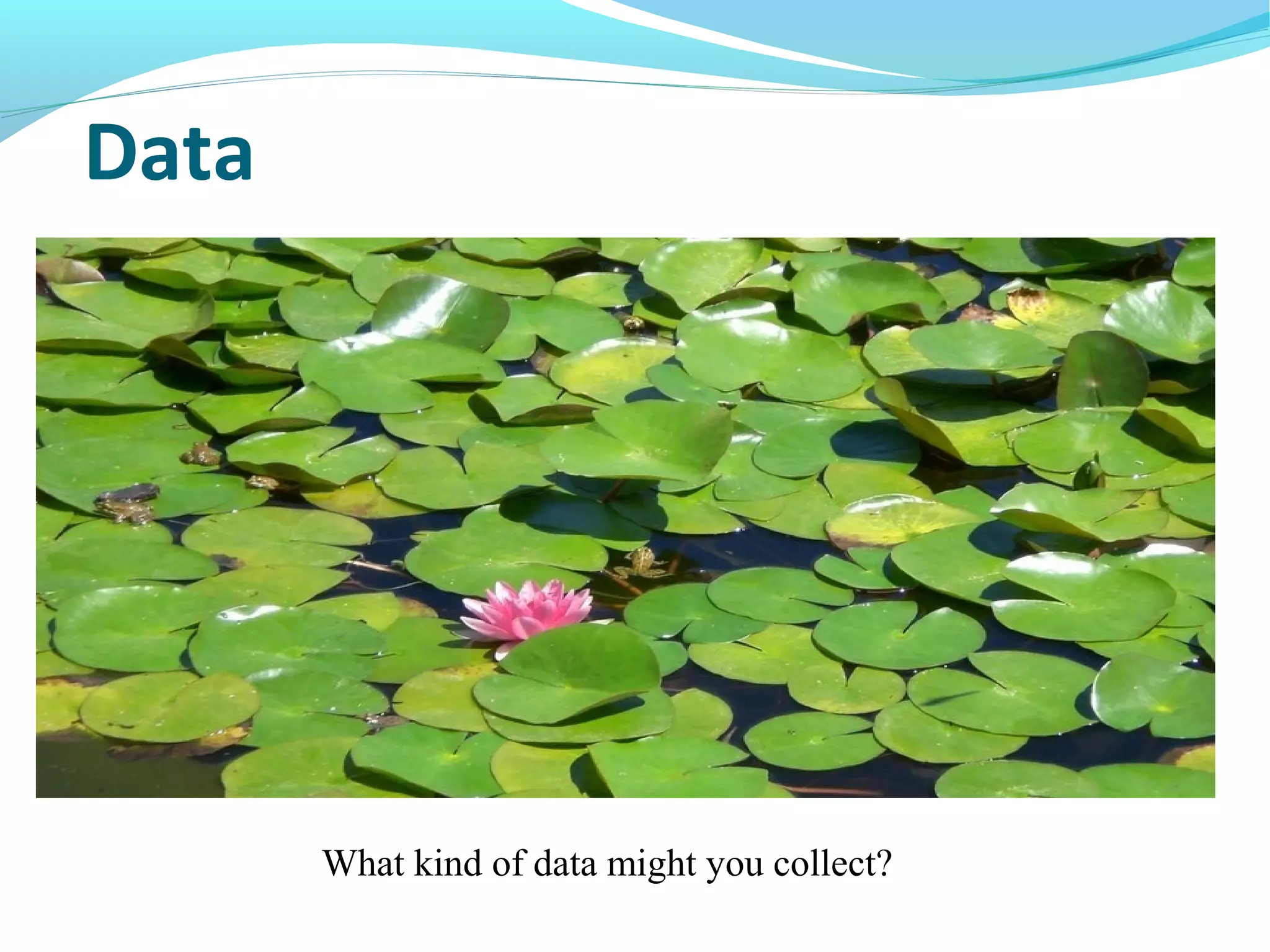Data
What kind of data might you collect?
 