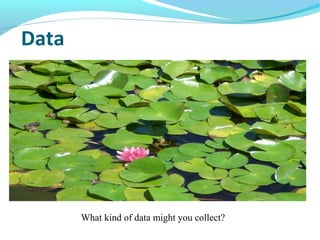 Data
What kind of data might you collect?
 