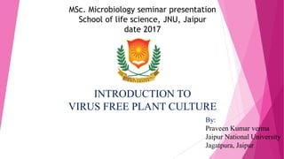 MSc. Microbiology seminar presentation
School of life science, JNU, Jaipur
date 2017
INTRODUCTION TO
VIRUS FREE PLANT CULTURE
By:
Praveen Kumar verma
Jaipur National University
Jagatpura, Jaipur
 