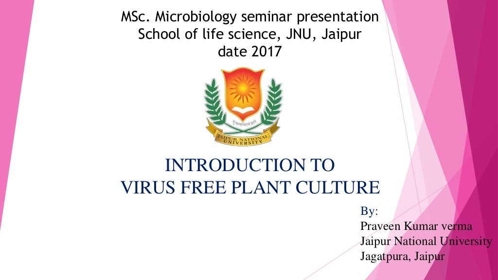 Introduction to Virus Free Plant tissue Culture
