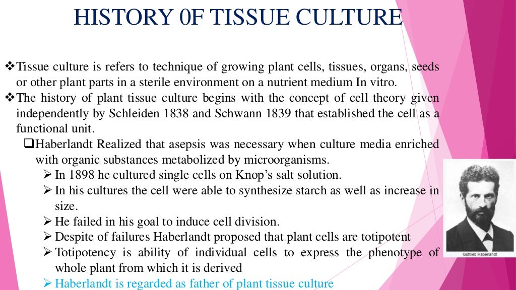 Introduction to Virus Free Plant tissue Culture