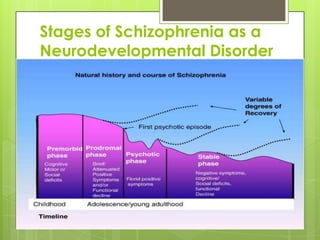 Stages of Schizophrenia as a
Neurodevelopmental Disorder
 