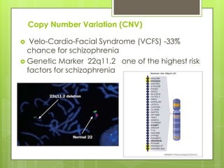 Copy Number Variation (CNV)

  Velo-Cardio-Facial Syndrome (VCFS) -33%
  chance for schizophrenia
 Genetic Marker 22q11.2 one of the highest risk
  factors for schizophrenia
 
