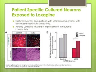 Patient Specific Cultured Neurons
         Exposed to Loxapine
             Cultured neurons from patients with schizophrenia present with
              decreased neuronal connectivity.
             Adding Loxapine resulted in improvement in neuronal
              connectivity




Modeling Schizophrenia Using Human Induced Pluripotent Stem Cells;Kristen J. Bernnand et al.; Nature
473, 221-225 (12 May 2011) doi:10.1038/nature09915
 