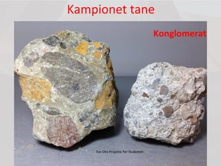 Kampionet tane
Konglomerat
Ese Dhe Projekte Per Studentet
 