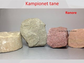 Kampionet tane
Ranore
Ese Dhe Projekte Per Studentet
 