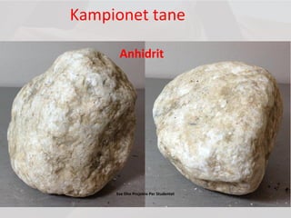 Kampionet tane
Anhidrit
Ese Dhe Projekte Per Studentet
 