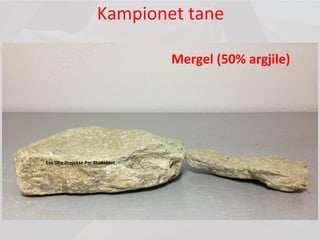 Kampionet tane
Mergel (50% argjile)
Ese Dhe Projekte Per Studentet
 