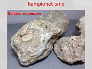 Kampionet tane
Ese Dhe Projekte Per Studentet
Gelqerore copezore
 