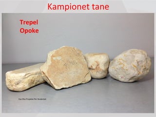 Kampionet tane
Trepel
Opoke
Ese Dhe Projekte Per Studentet
 