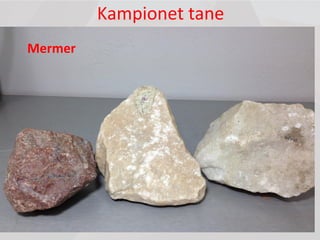 Kampionet tane
Mermer
 