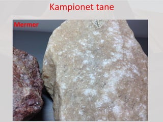 Kampionet tane
Mermer
 