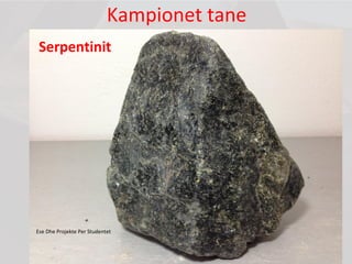 Kampionet tane
Serpentinit
Ese Dhe Projekte Per Studentet
 