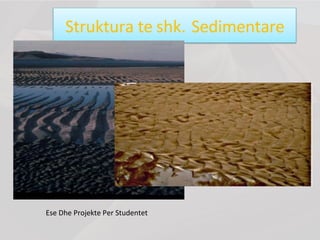 Struktura te shk. Sedimentare
Ese Dhe Projekte Per Studentet
 