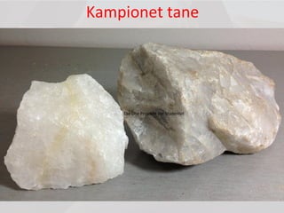 Kampionet tane
Ese Dhe Projekte Per Studentet
 