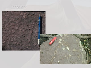 Ese Dhe Projekte Per Studentet
 