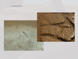 Ese Dhe Projekte Per Studentet
 