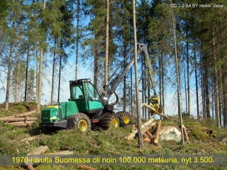 CC 3.0 SA BY Heikki Valve 
1970-luvulla Suomessa oli noin 100.000 metsuria, nyt 3.500. 
 