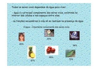 Todos os seres vivos dependem da água para viver:
- água é o principal componente dos seres vivos, existindo no
interior das células e nos espaços entre elas;
- as funções necessárias à vida só se realizam na presença de água
A água – Importante componente dos seres vivos
65%
65%
98%
95%
87%
75%
 